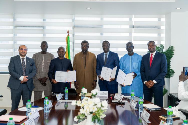 Le Promise réformé