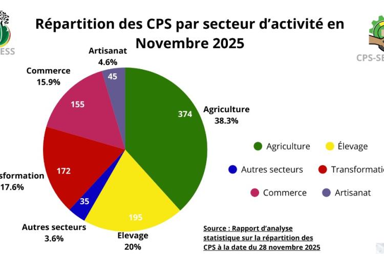 Situation d'évolution de l'indicateur d'activité de création de CPS au mois de novembre